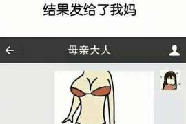 泸定资产调查